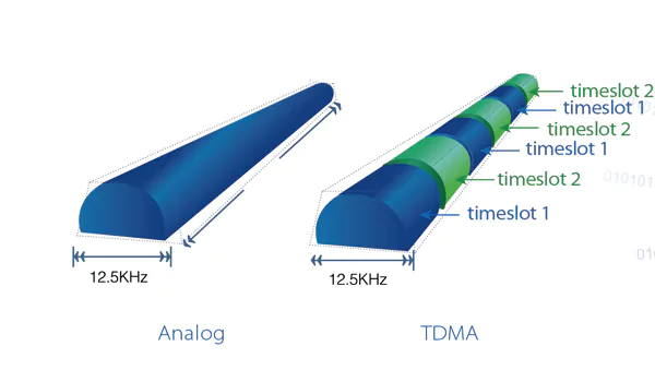 DMO True 2-slots