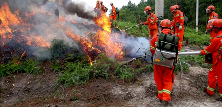 BelFone Helps Build Digital UHF Communication System For Forest Fire Prevention In Heilongjiang